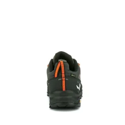 Alp Trainer 2 Gore-Tex® Schuh Herren