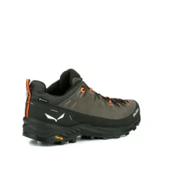 Alp Trainer 2 Gore-Tex® Schuh Herren
