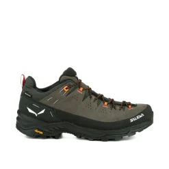 Alp Trainer 2 Gore-Tex® Schuh Herren