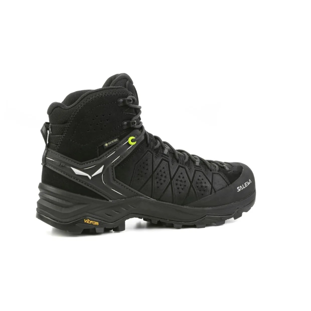 Alp Trainer 2 Mid GORE-TEX® Herren Schuh