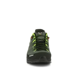 Alp Trainer 2 Schuh Herren
