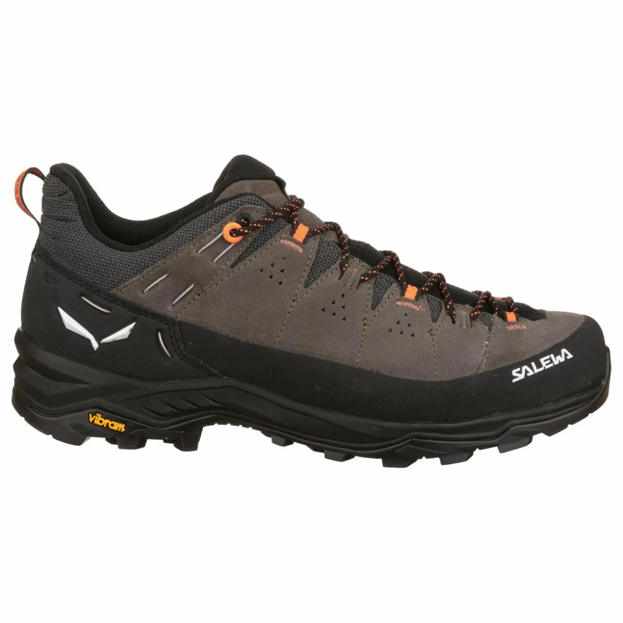 Alp Trainer 2 Schuh Herren