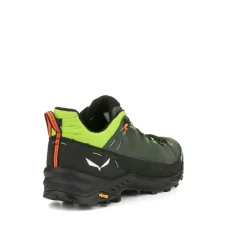 Alp Trainer 2 Schuh Herren