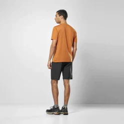 Eagle Dotted Mountain Trainer Merino T-Shirt Herren