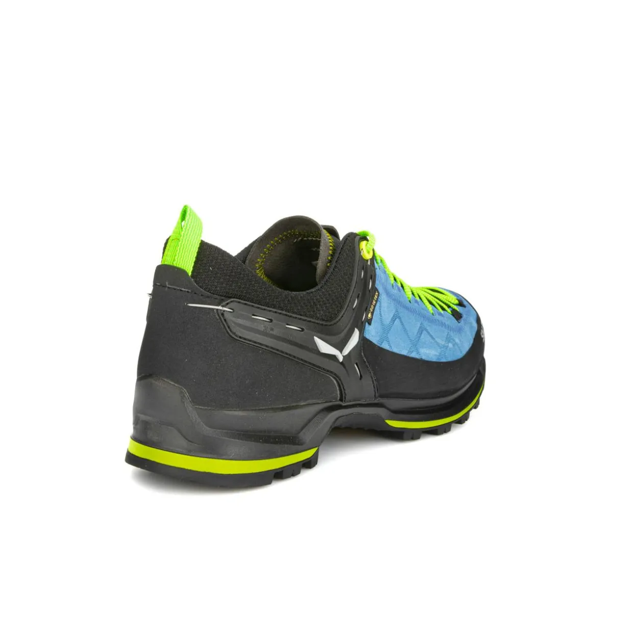 Mountain Trainer 2 GORE-TEX® Herrenschuhe