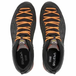 Mountain Trainer 2 GORE-TEX® Herrenschuhe
