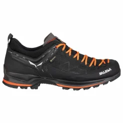 Mountain Trainer 2 GORE-TEX® Herrenschuhe
