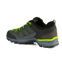 Mountain Trainer Lite GORE-TEX® Herrenschuhe