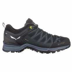 Mountain Trainer Lite GORE-TEX® Herrenschuhe