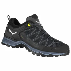 Mountain Trainer Lite GORE-TEX® Herrenschuhe