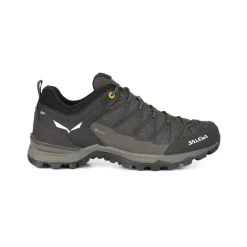 Mountain Trainer Lite GORE-TEX® Herrenschuhe