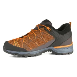 Mountain Trainer Lite Herrenschuhe