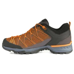 Mountain Trainer Lite Herrenschuhe