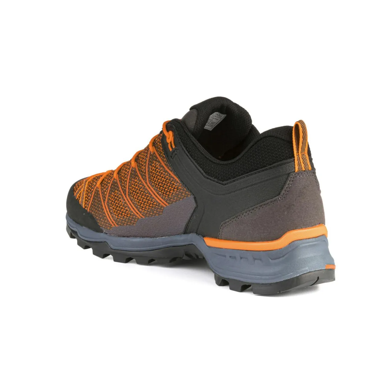 Mountain Trainer Lite Herrenschuhe