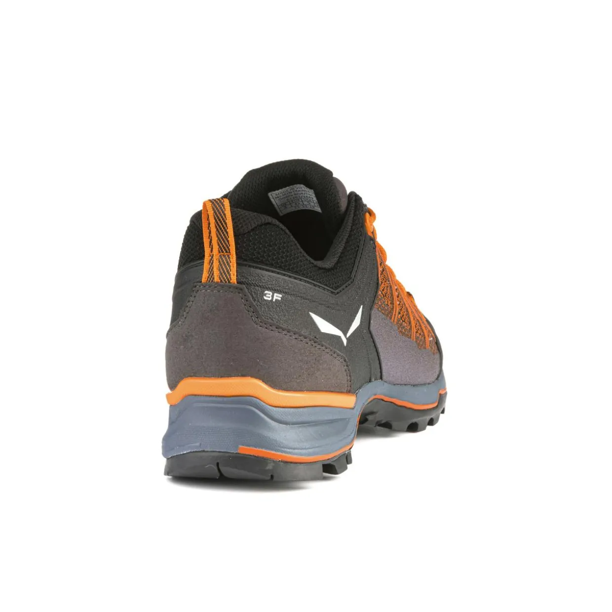 Mountain Trainer Lite Herrenschuhe