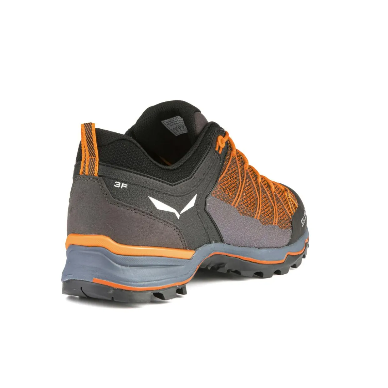 Mountain Trainer Lite Herrenschuhe