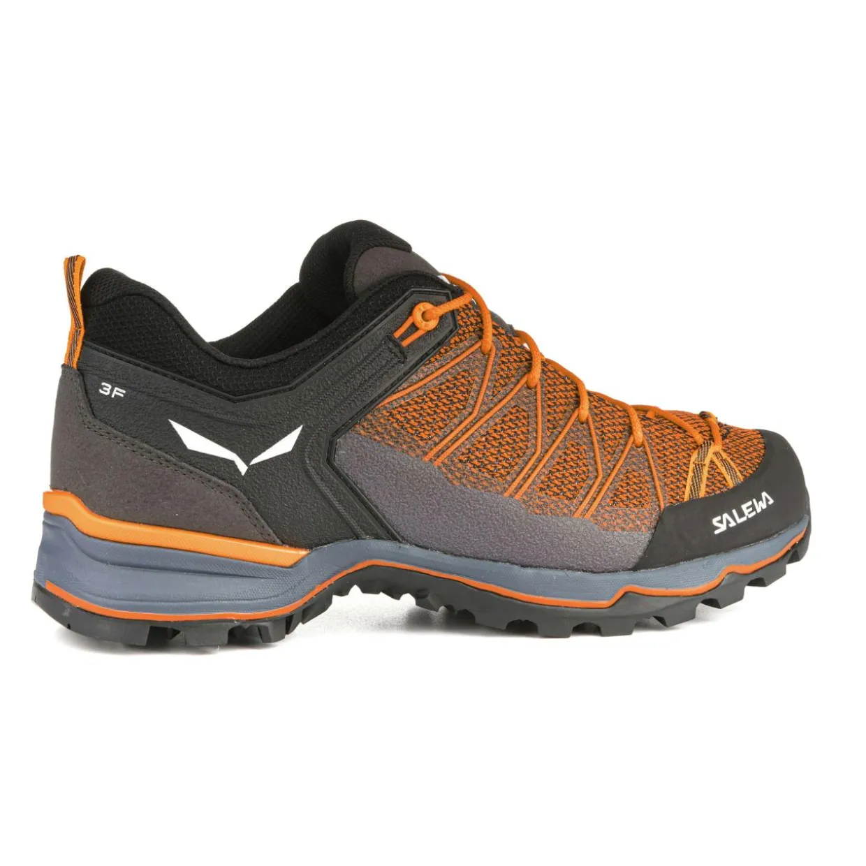 Mountain Trainer Lite Herrenschuhe