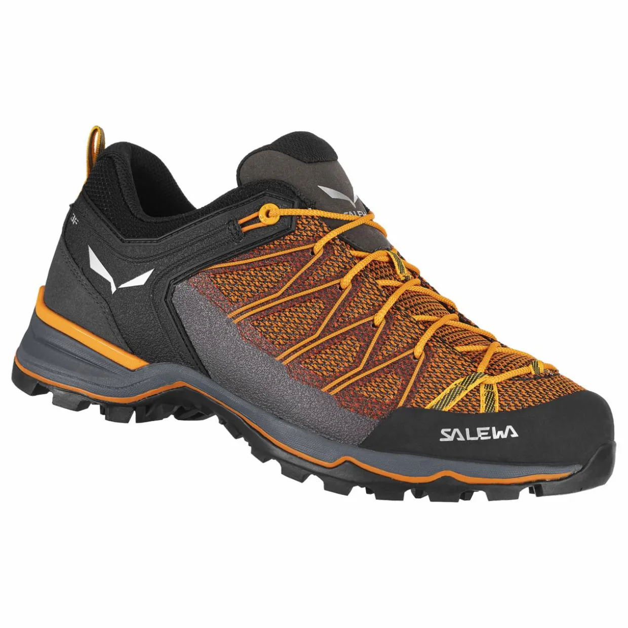 Mountain Trainer Lite Herrenschuhe