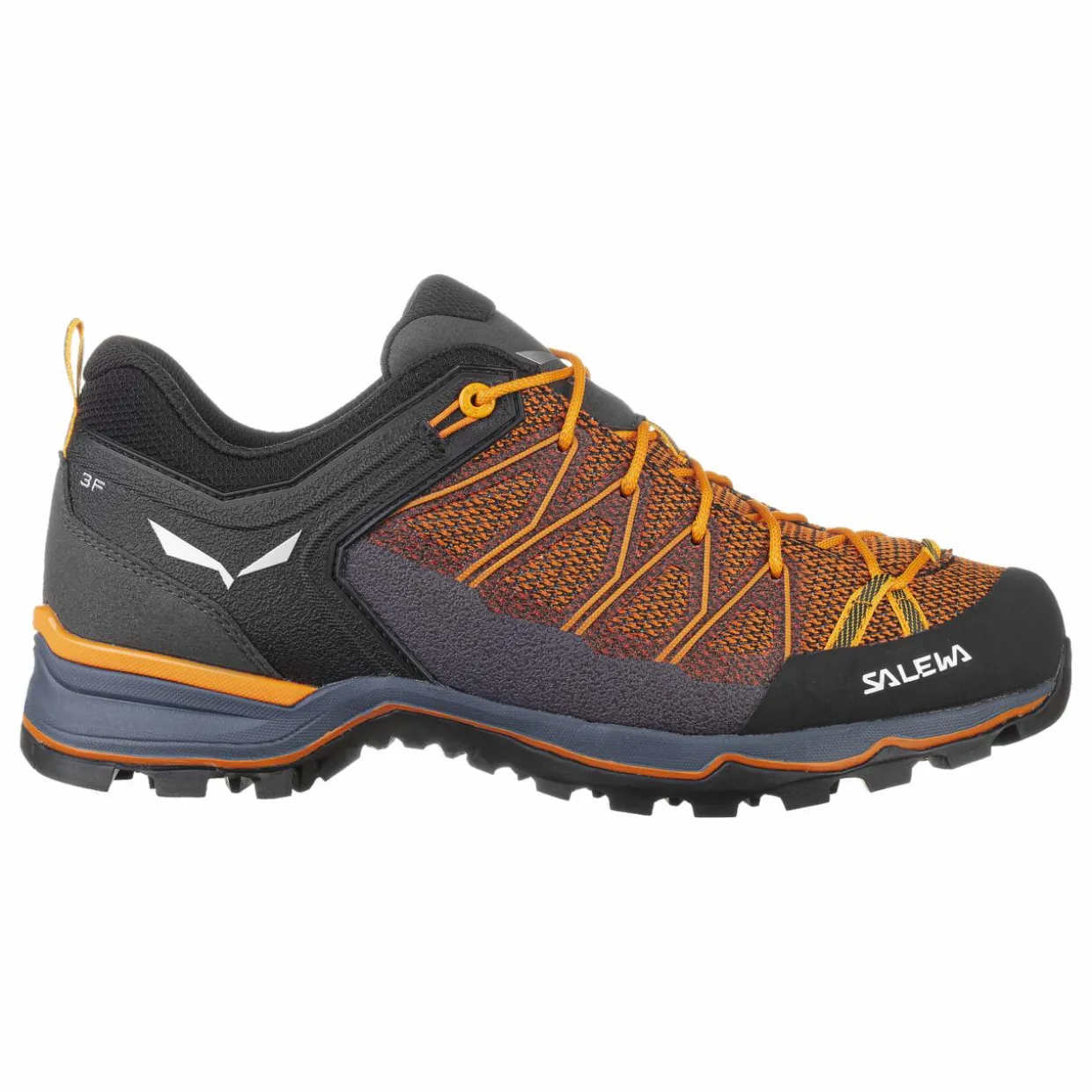 Mountain Trainer Lite Herrenschuhe