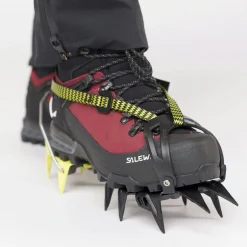Ortles Ascent Mid Gore-Tex® Schuh Damen