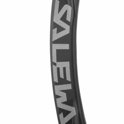 Ortles Karabiner Mit Gebogenem Schnapper