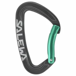 Ortles Karabiner Mit Gebogenem Schnapper