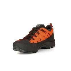 Wildfire 2 Gore-Tex® Schuh Herren