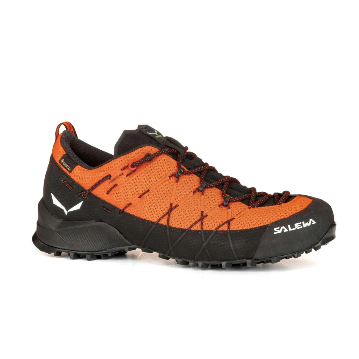 Wildfire 2 Gore-Tex® Schuh Herren