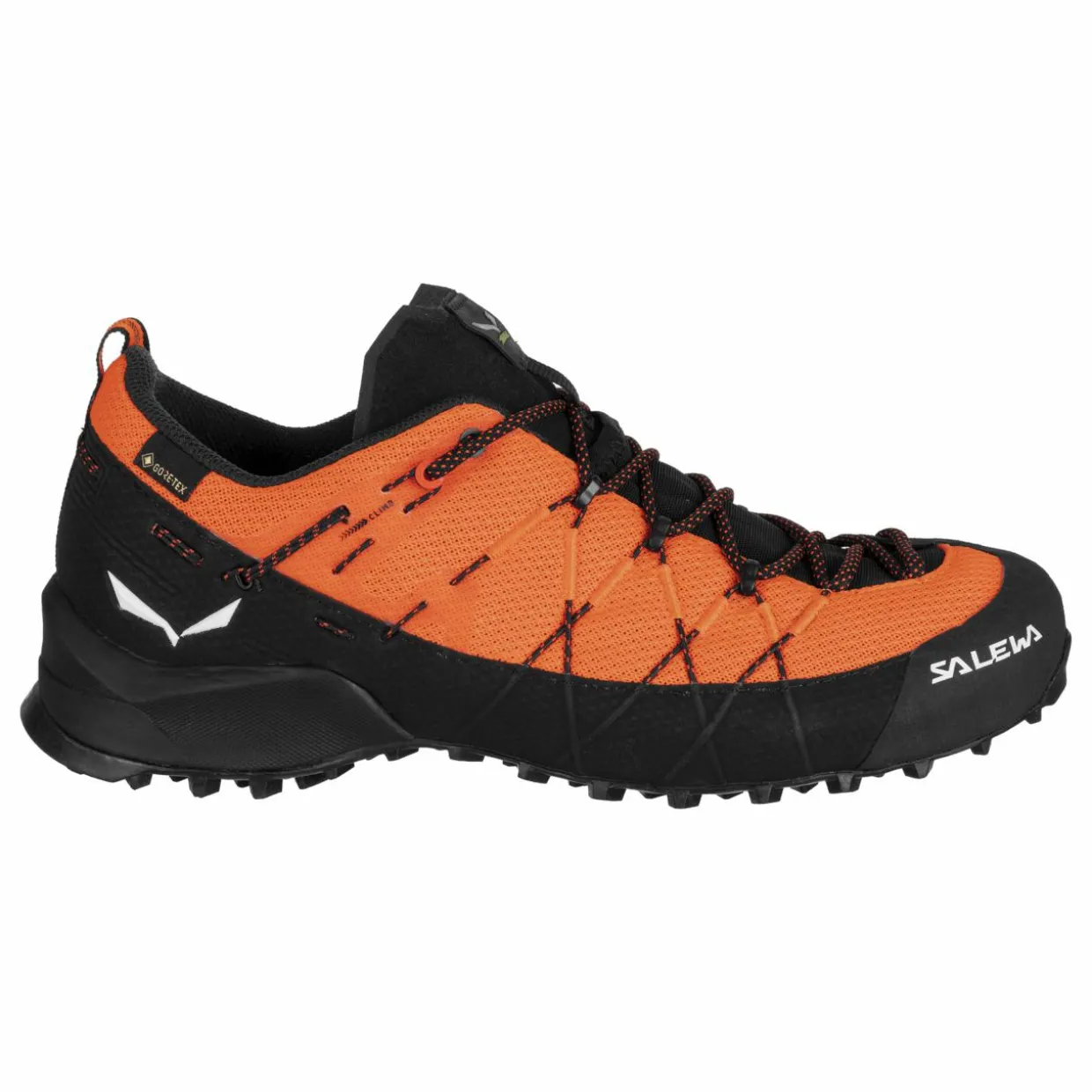 Wildfire 2 Gore-Tex® Schuh Herren